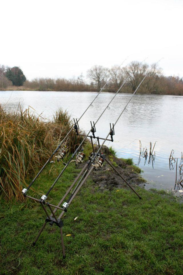 CHUB - 387597247845418608365754749587n.jpg